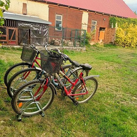 Malinowy Gaj - Agroturystyka Z Alpakami I Innymi Zwierzetami Swietajno  Экстерьер фото