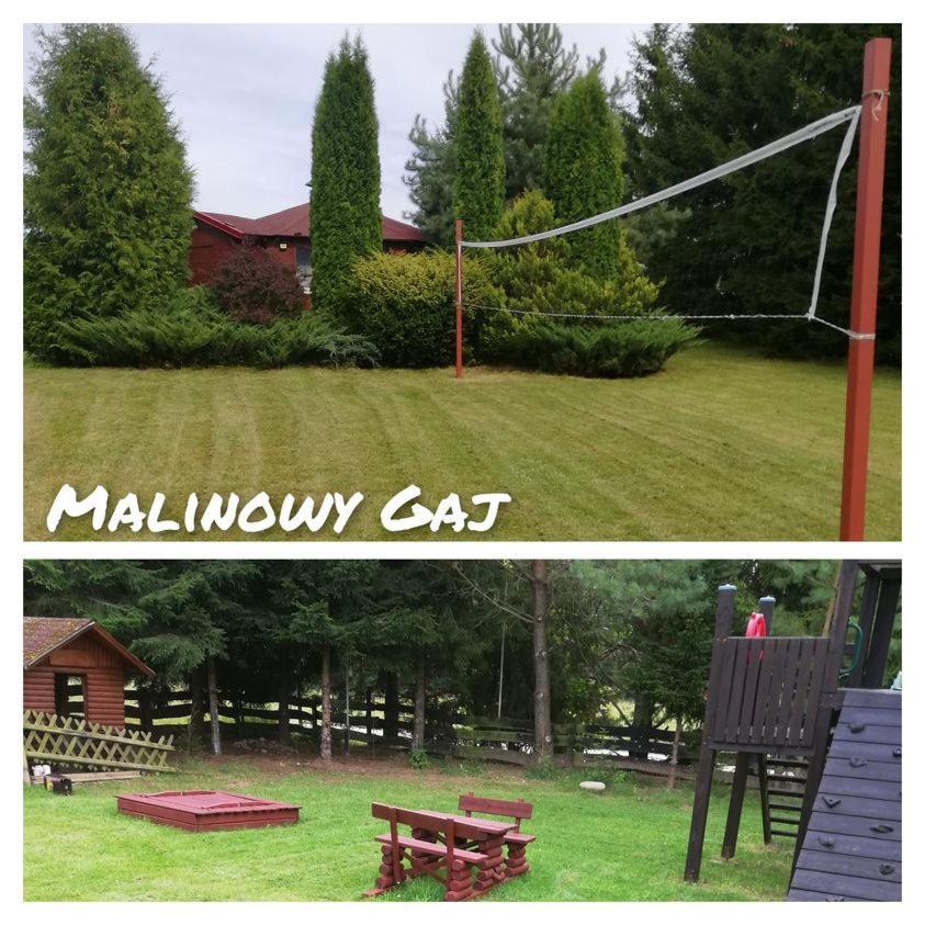 Malinowy Gaj - Agroturystyka Z Alpakami I Innymi Zwierzetami Swietajno  Экстерьер фото