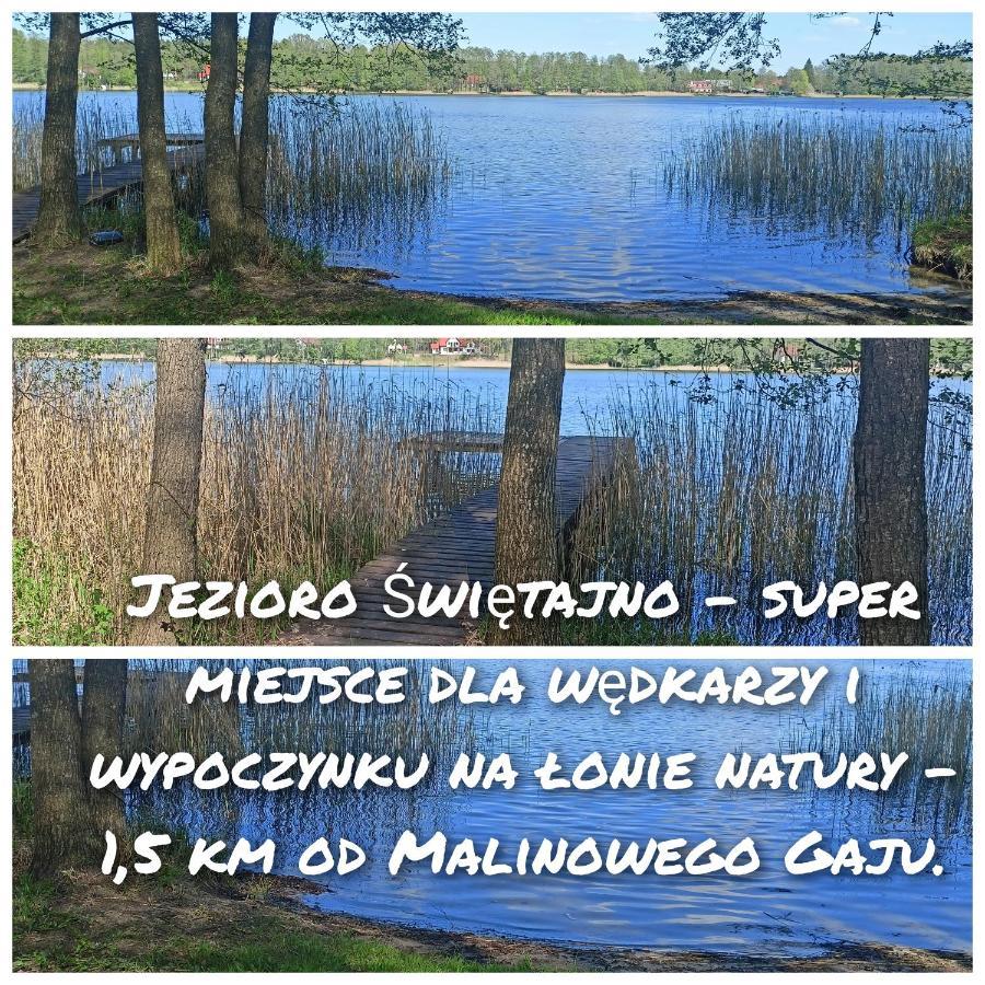 Malinowy Gaj - Agroturystyka Z Alpakami I Innymi Zwierzetami Swietajno  Экстерьер фото