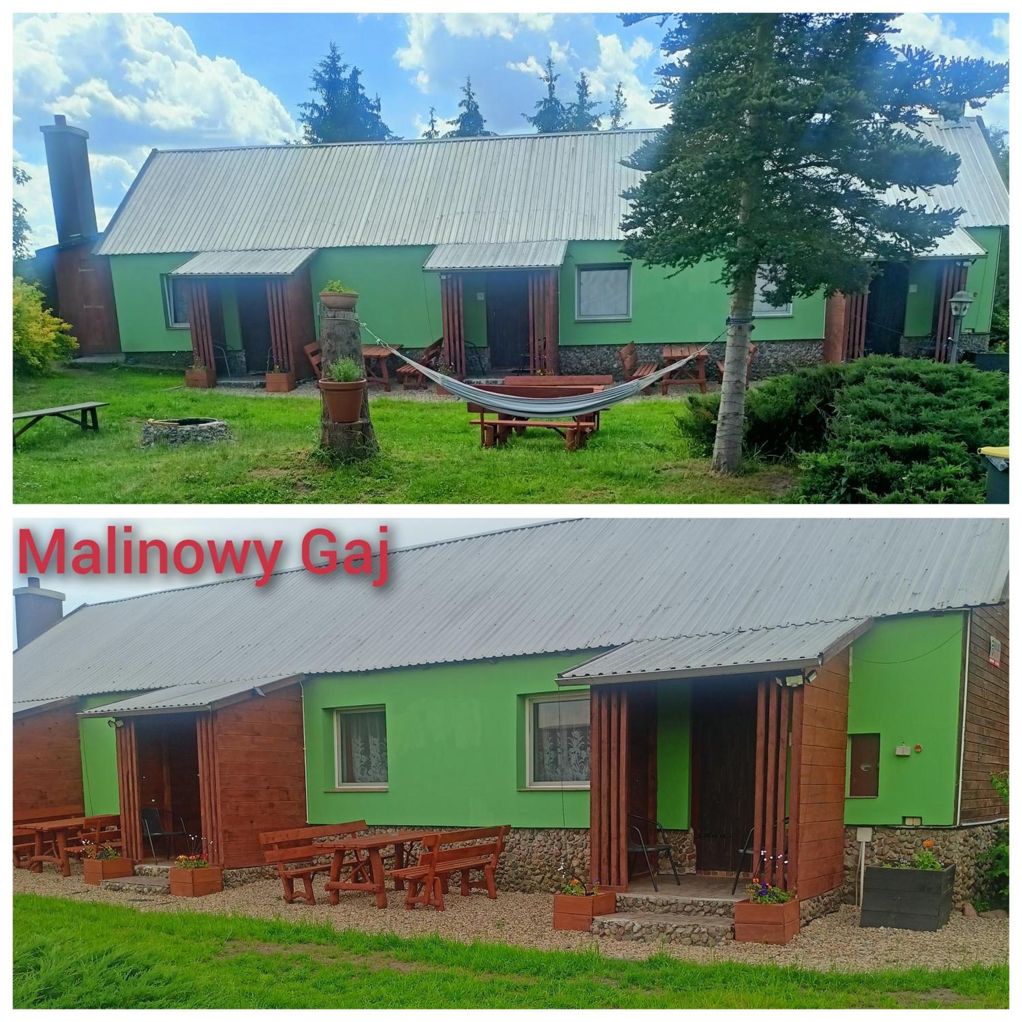 Malinowy Gaj - Agroturystyka Z Alpakami I Innymi Zwierzetami Swietajno  Экстерьер фото