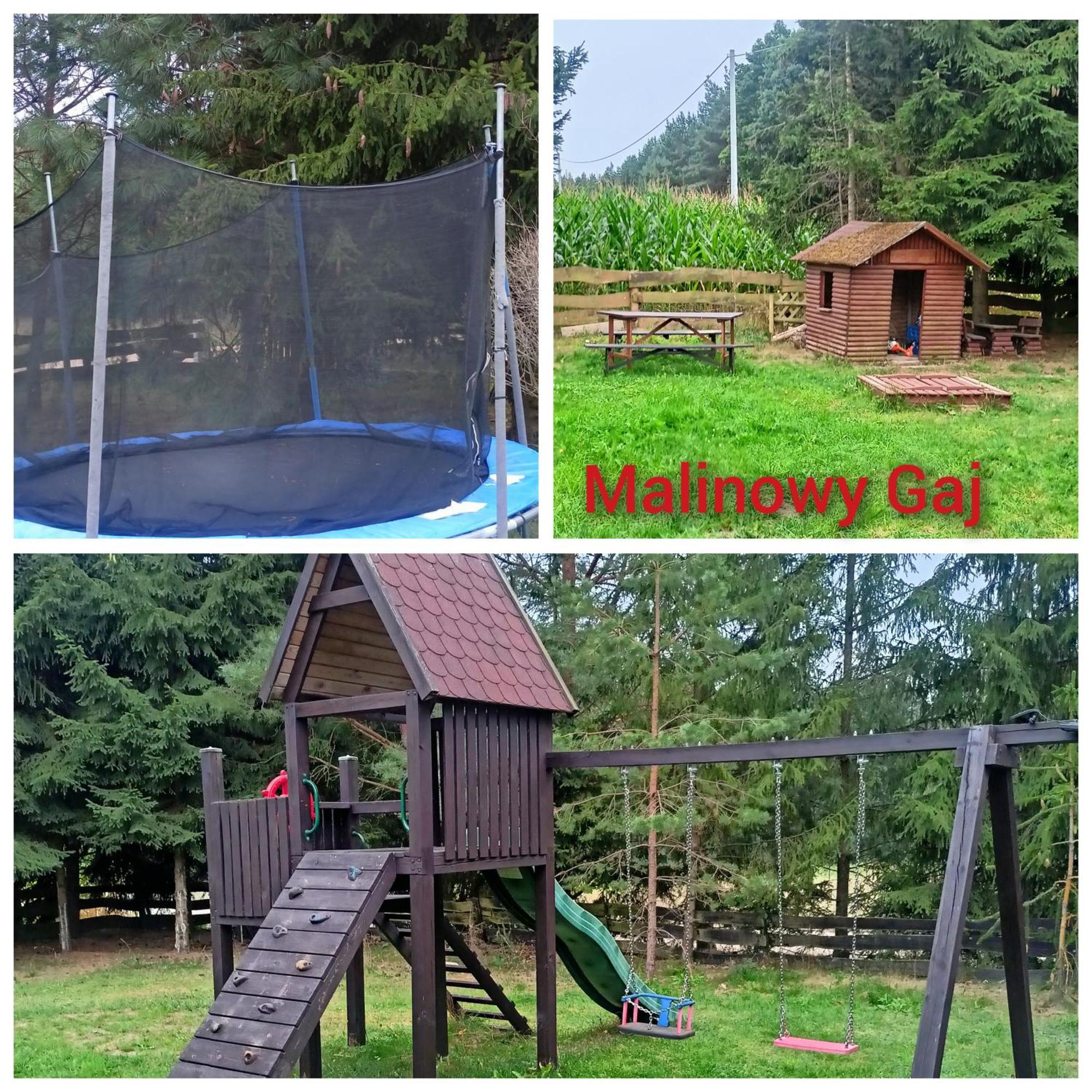 Malinowy Gaj - Agroturystyka Z Alpakami I Innymi Zwierzetami Swietajno  Экстерьер фото