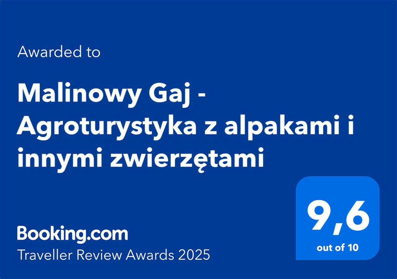 Malinowy Gaj - Agroturystyka Z Alpakami I Innymi Zwierzetami Swietajno  Экстерьер фото